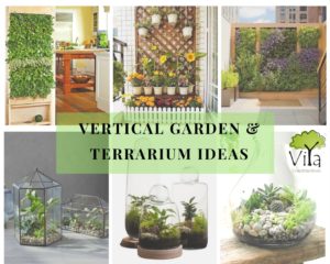 Terrarium& vertical garden ideas