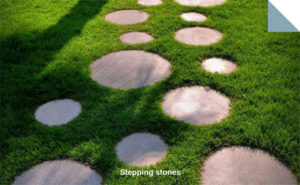 Paving stones for Stepping stones